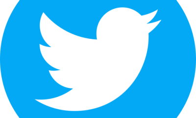 Unveiling the Evolution of the Twitter Icon: A Symbol of Social Connection