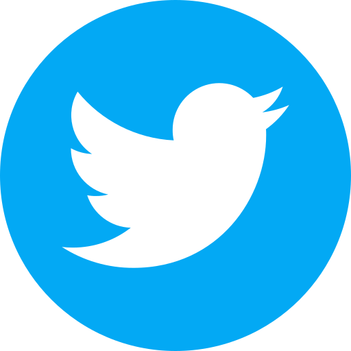 Unveiling the Evolution of the Twitter Icon: A Symbol of Social Connection