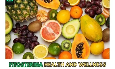 Unlocking the Power of Fitosterina Nature’s Secret to Health and Wellness