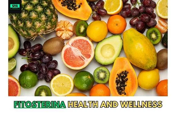 Unlocking the Power of Fitosterina Nature’s Secret to Health and Wellness