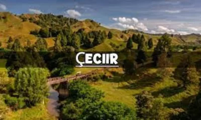 Unlocking the Meaning of Çeciir: A Linguistic Journey