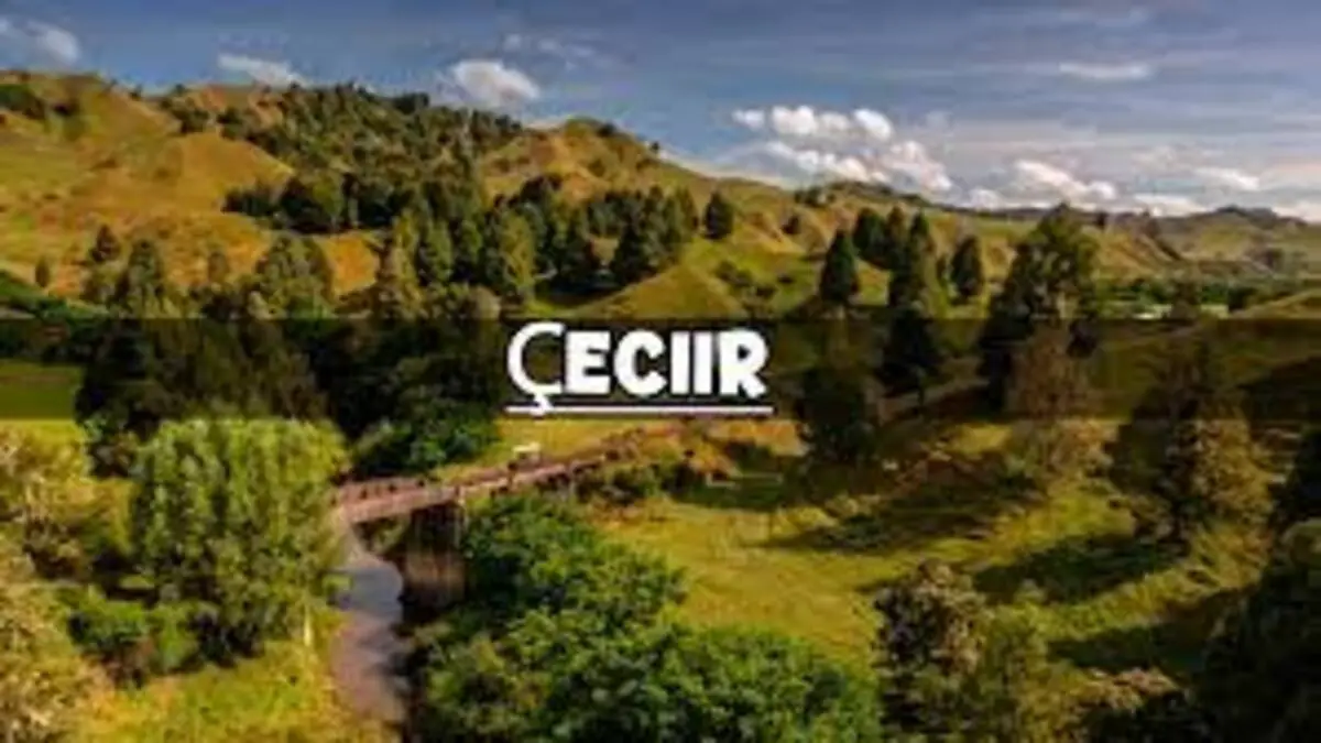 Unlocking the Meaning of Çeciir: A Linguistic Journey