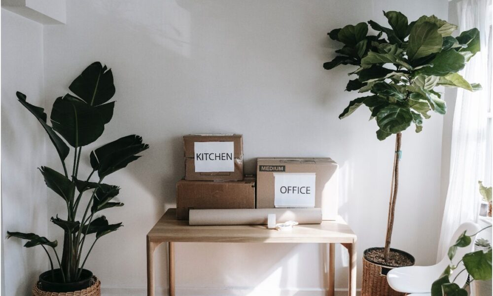 Maximizing Space and Efficiency: Unpacking the Benefits of Minimalist Moving Strategies