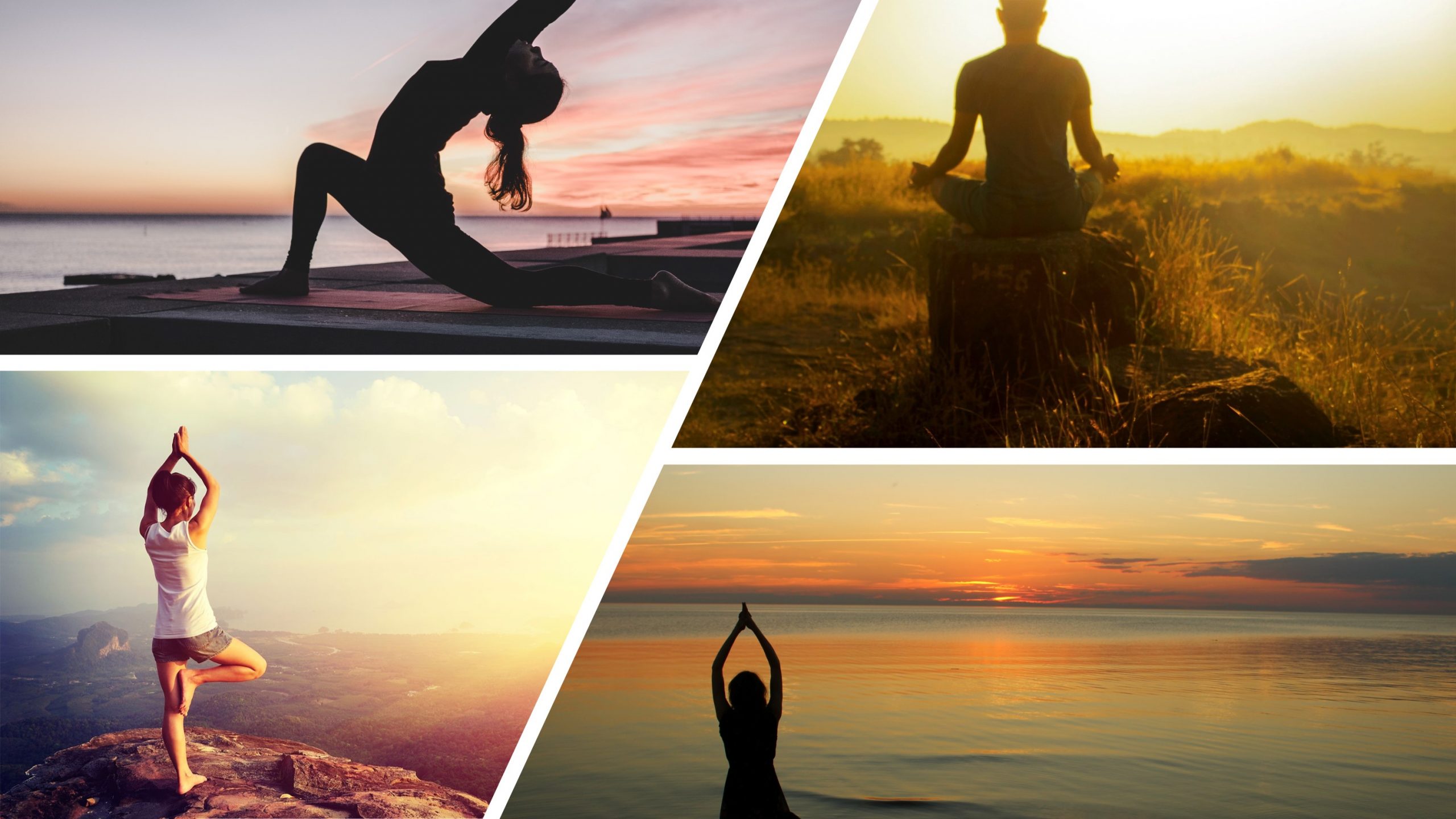 Harmonising Wellness: The Universal Influence of Online Yoga with a Theme Focus