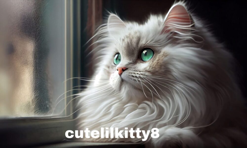 Cutelilkitty8: Unveiling a Unique Digital Phenomenon