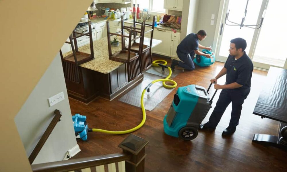 Expert Tips for Choosing the Right Water Damage Restoration Company