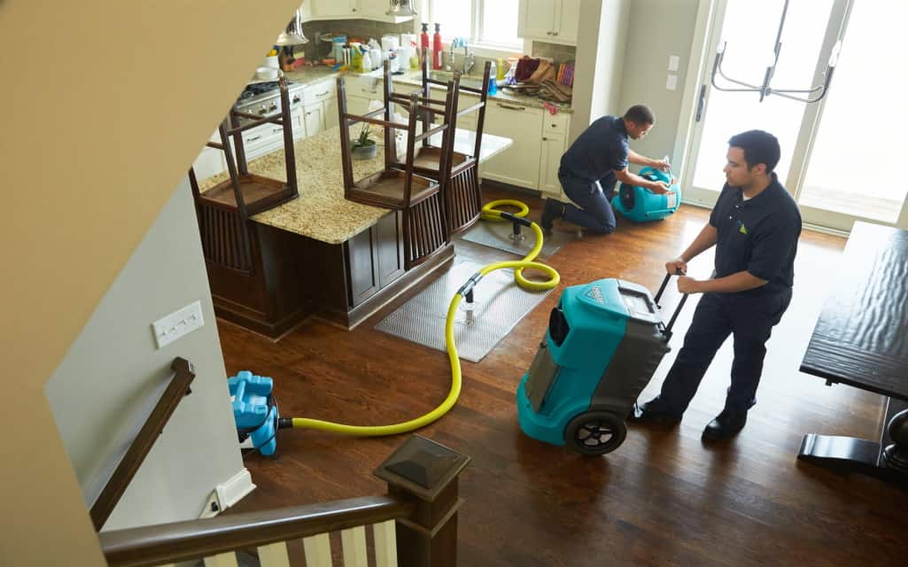 Expert Tips for Choosing the Right Water Damage Restoration Company