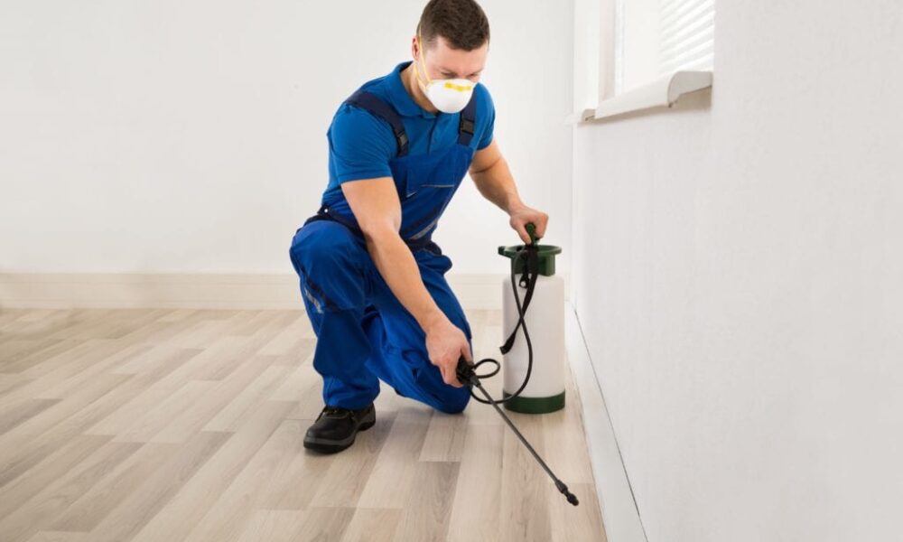 How to Find The Best Pest Control Service?