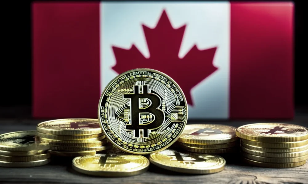 Bitcoin Casino Invite Reward in Canada: An Extensive Aide