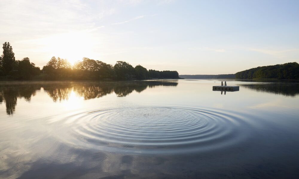 De-Stress & Thrive: Simple Techniques for Calming Your Mind