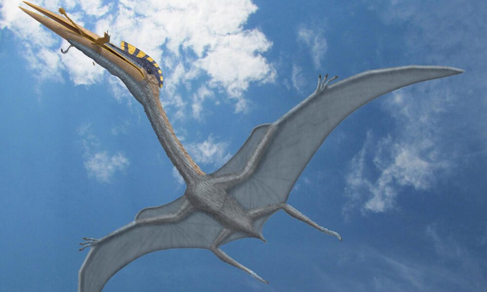 Unraveling the Mysteries of Pterodactyls: Ancient Flyers of the Prehistoric Skies