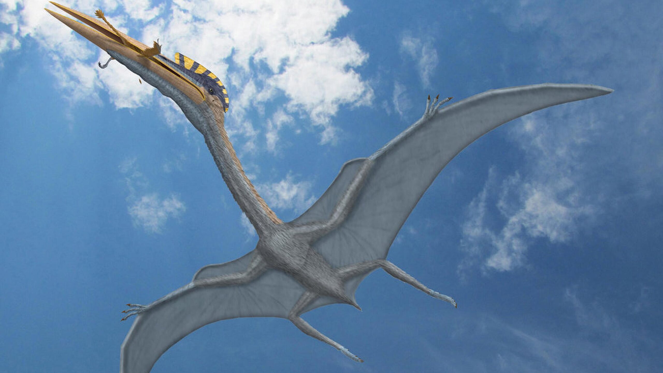 Unraveling the Mysteries of Pterodactyls: Ancient Flyers of the Prehistoric Skies