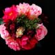Blooming Presents: Perfect Gifts for Flower Lovers