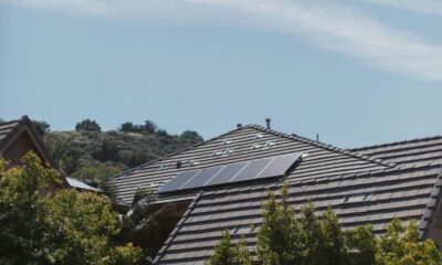 How Solar Energy is Revolutionizing Renewable Energy Services