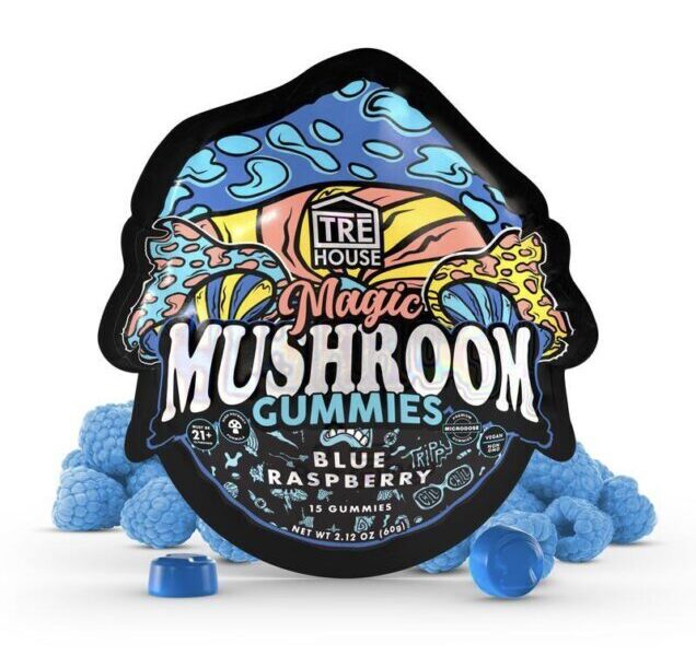 Why Should You Buy Mushroom Gummies At Wholesale Prices?