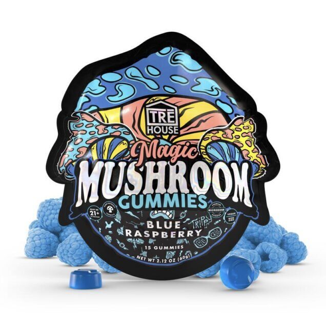 Why Should You Buy Mushroom Gummies At Wholesale Prices?