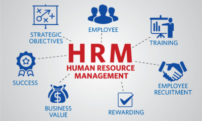 Maximizing Employee Satisfaction with Professional Human Resources Services