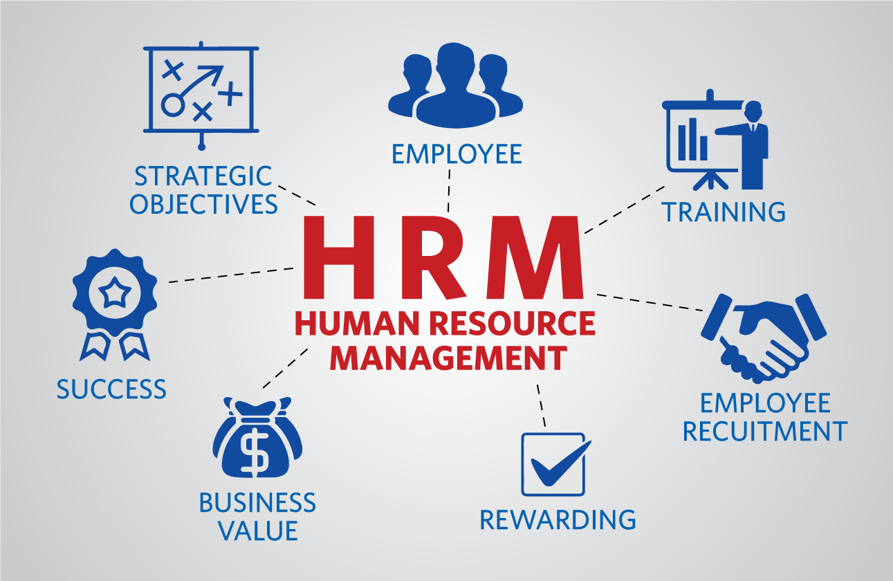 Maximizing Employee Satisfaction with Professional Human Resources Services