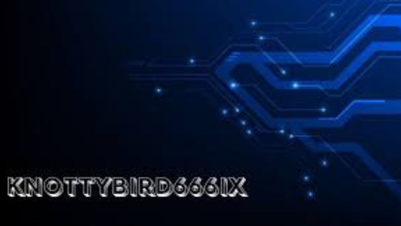 KnottyBird666ix: Origins and Mysterious Beginnings