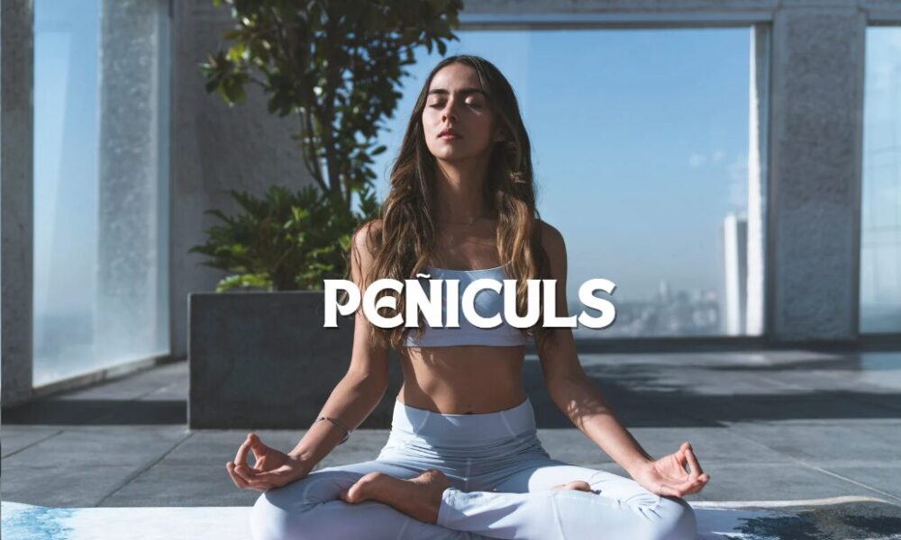 Peñiculs: Unveiling the Essentials for Everyday Use