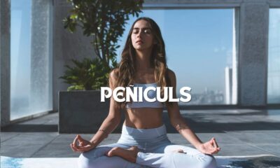 Peñiculs: Unveiling the Essentials for Everyday Use