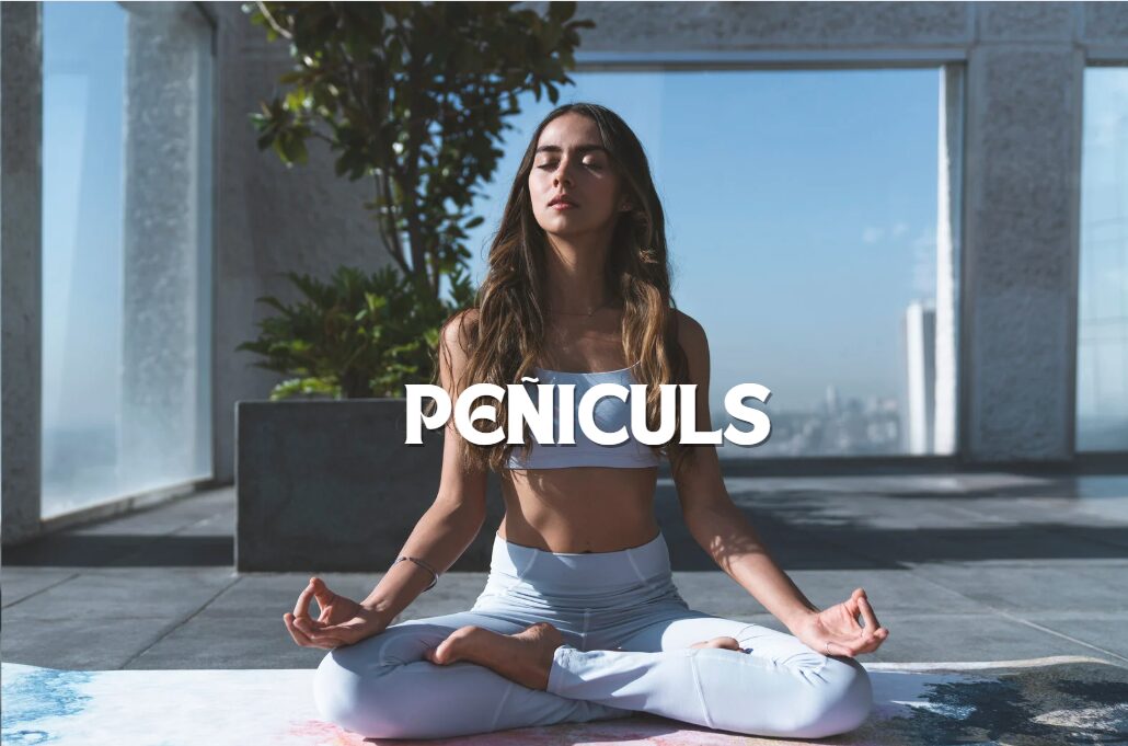 Peñiculs: Unveiling the Essentials for Everyday Use