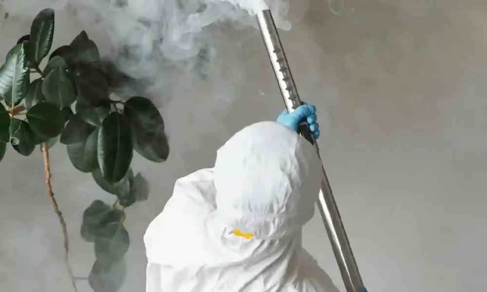 The Importance of Professional Fumigation Services for Pest Control