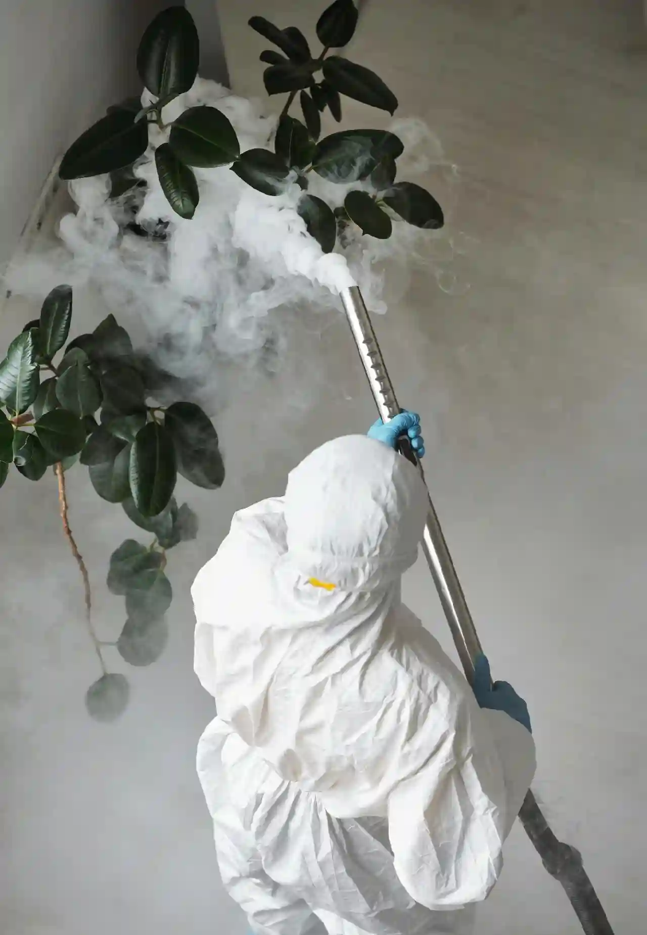 The Importance of Professional Fumigation Services for Pest Control