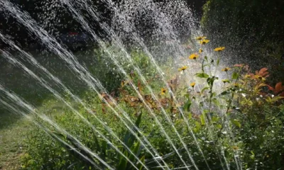 Find a Reliable Irrigation Contractor for Your Garden Sprinkler Needs