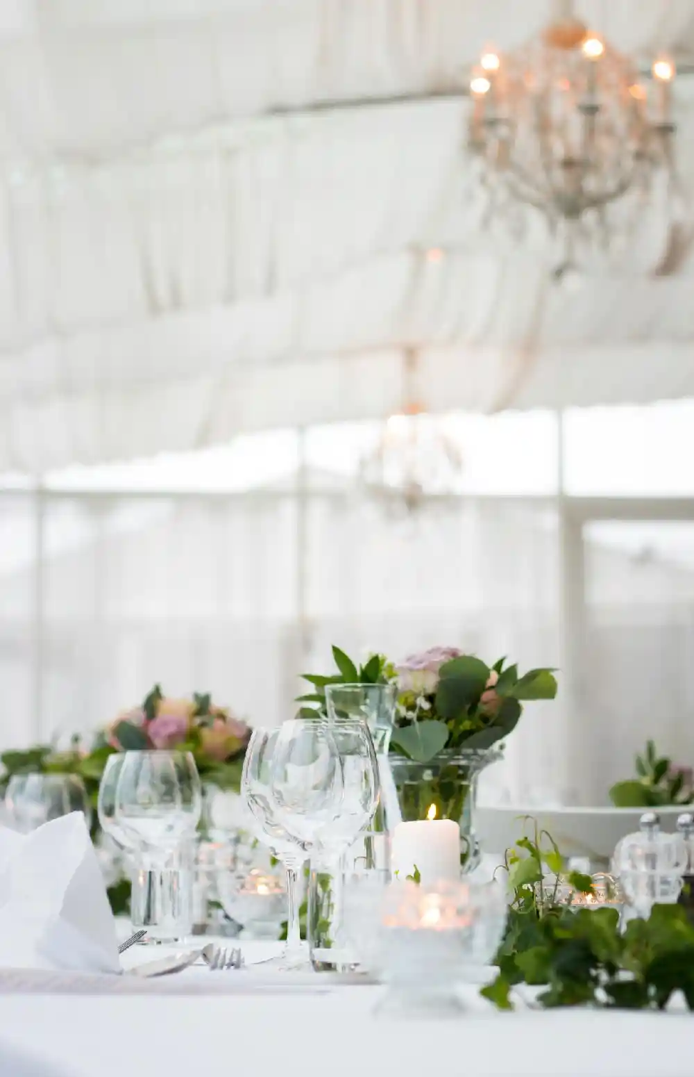 From Backyard BBQs to Weddings: How Party Tents Can Elevate Any Event