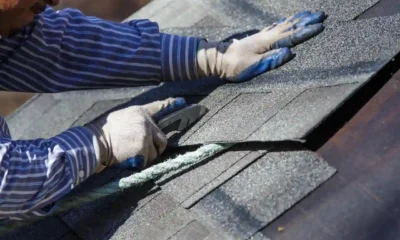 Professional Roof Maintenance Services to Extend Roof Lifespan