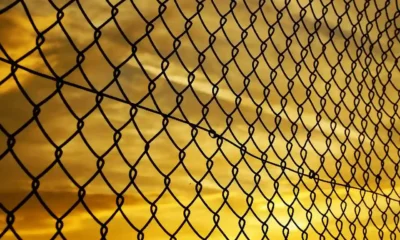 How to Maintain and Repair a Woven Wire Fence for Long-Lasting Effectiveness