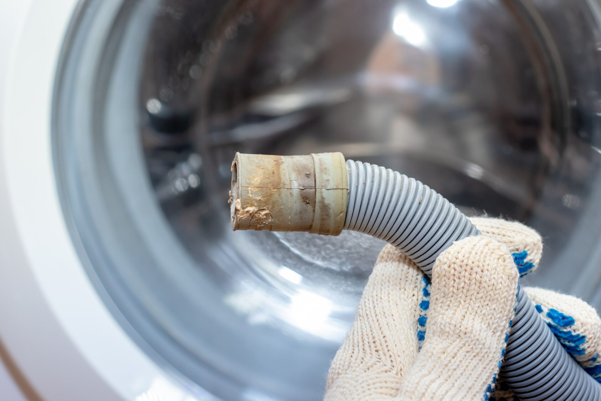 Everything You Need to Know About Washing Machine Hoses