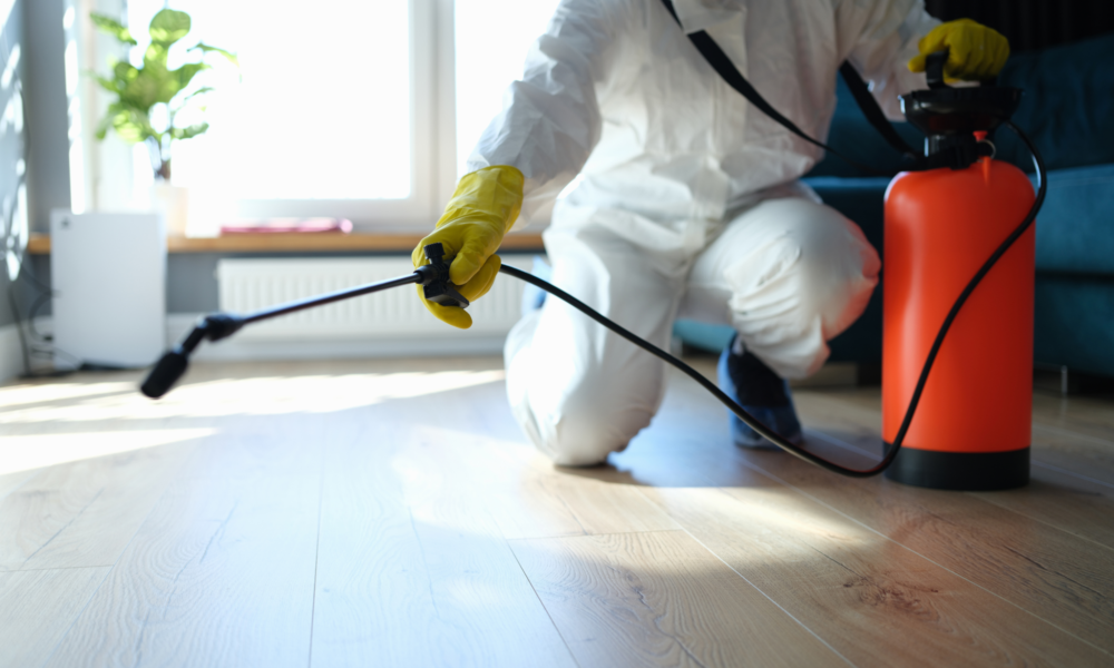 How to Choose the Right Fumigation Service for Your Home