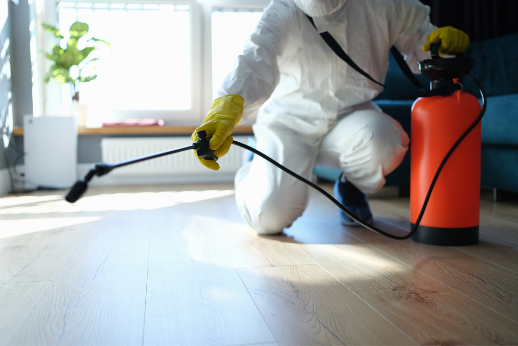 How to Choose the Right Fumigation Service for Your Home