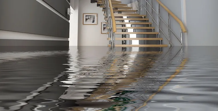 The Hidden Dangers of Ignoring Water Damage Inspection for Your Home