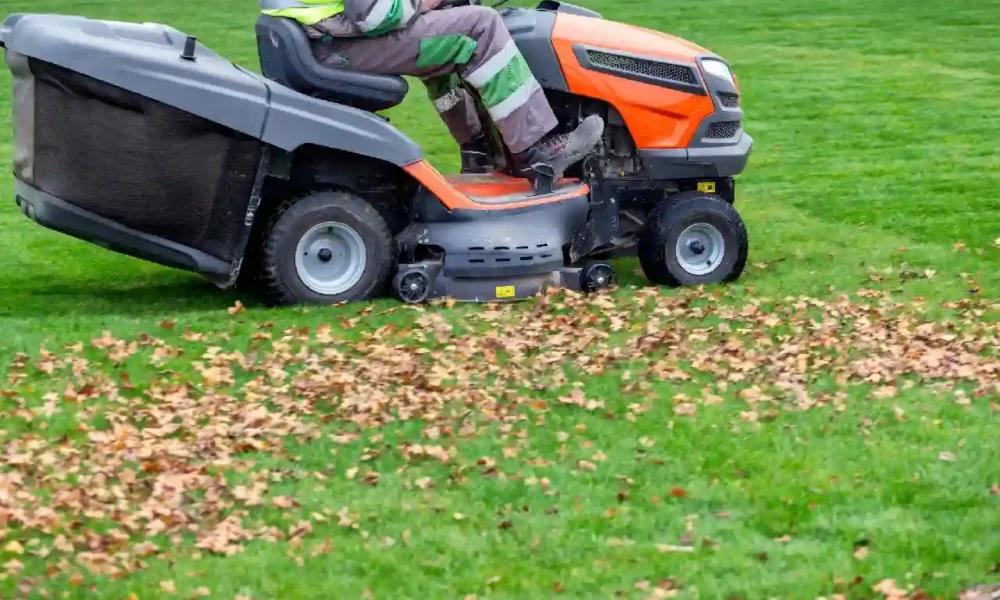 Ultimate Guide to Core vs Spike Aeration: Which is Best for Your Lawn?