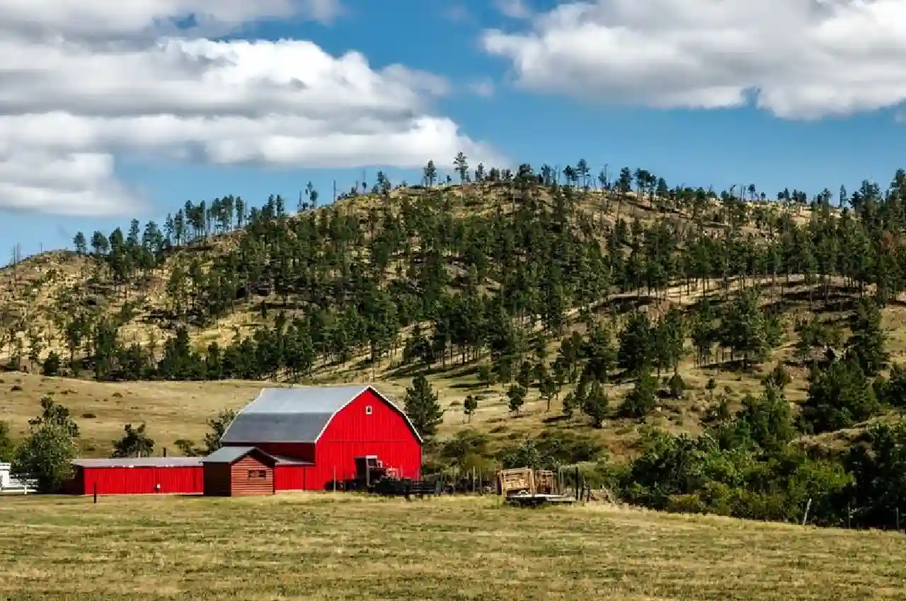 Understanding the Importance of Access Security for Modern Ranch Homes