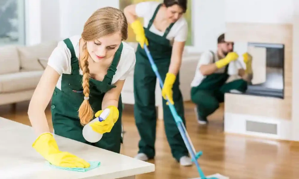 Essential Tools and Supplies Every Professional Cleaner Should Have