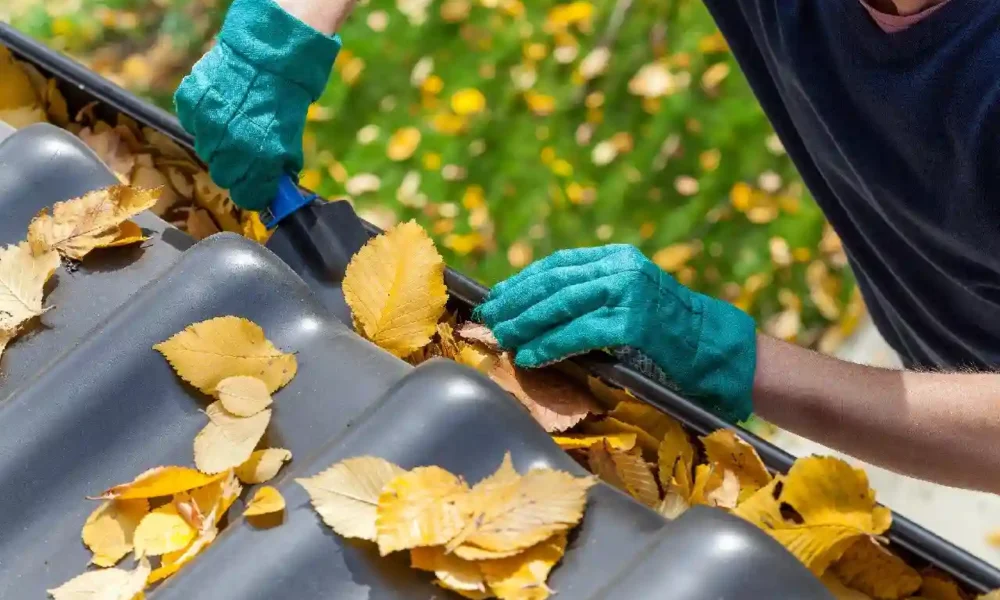 Top 7 Roof and Gutter Maintenance Mistakes to Avoid