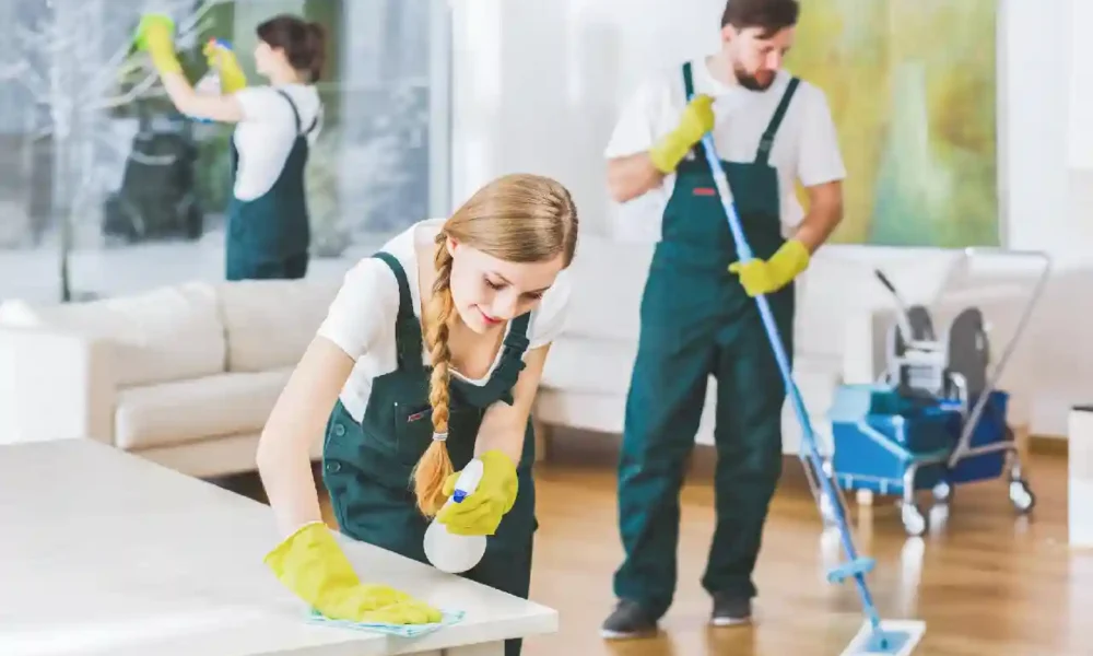 Top 6 Types of Cleaning Services for Every Homeowner