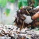 How to Choose the Right Yard Waste Disposal Services for Your Needs