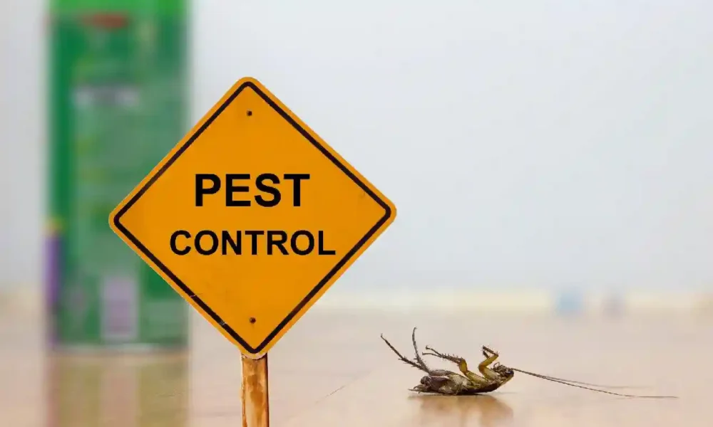 The Ultimate Guide to Pest Spray: Everything You Need to Know