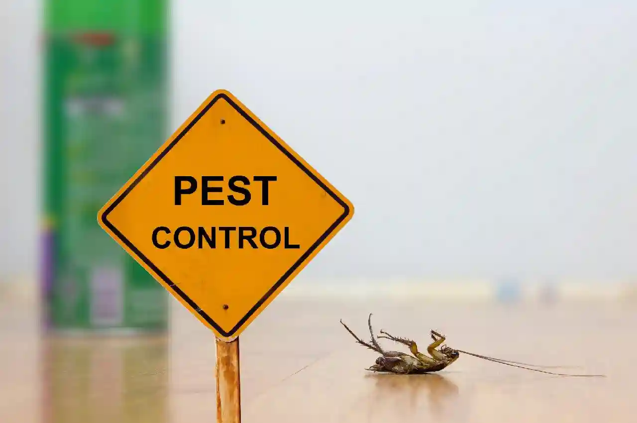 The Ultimate Guide to Pest Spray: Everything You Need to Know