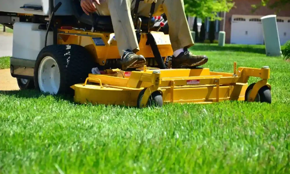 How to Choose the Right Grass Treatment for Your Yard