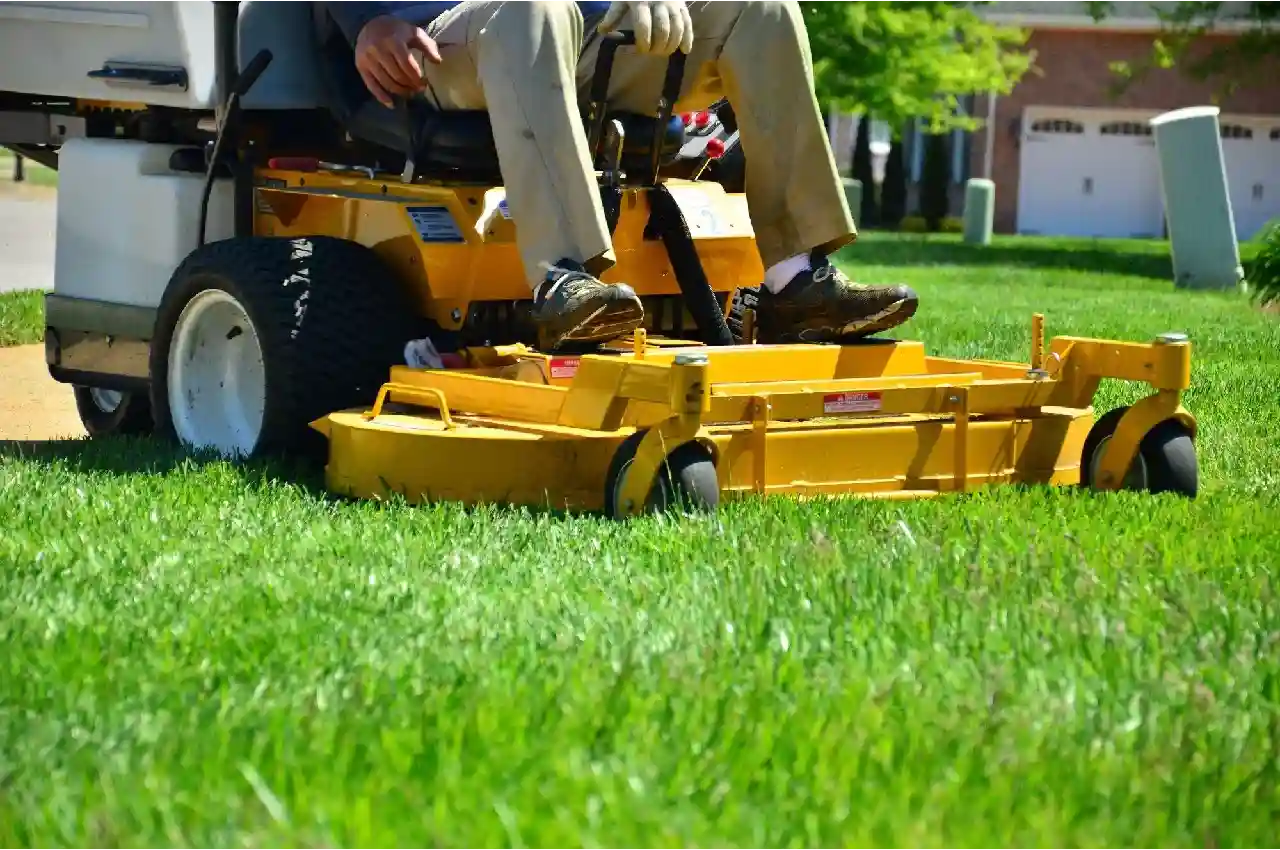 How to Choose the Right Grass Treatment for Your Yard