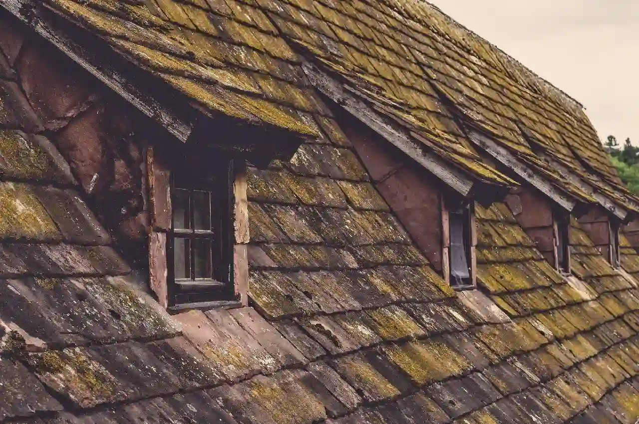 When is it Time to Replace Your Old Roof? Key Indicators to Watch For