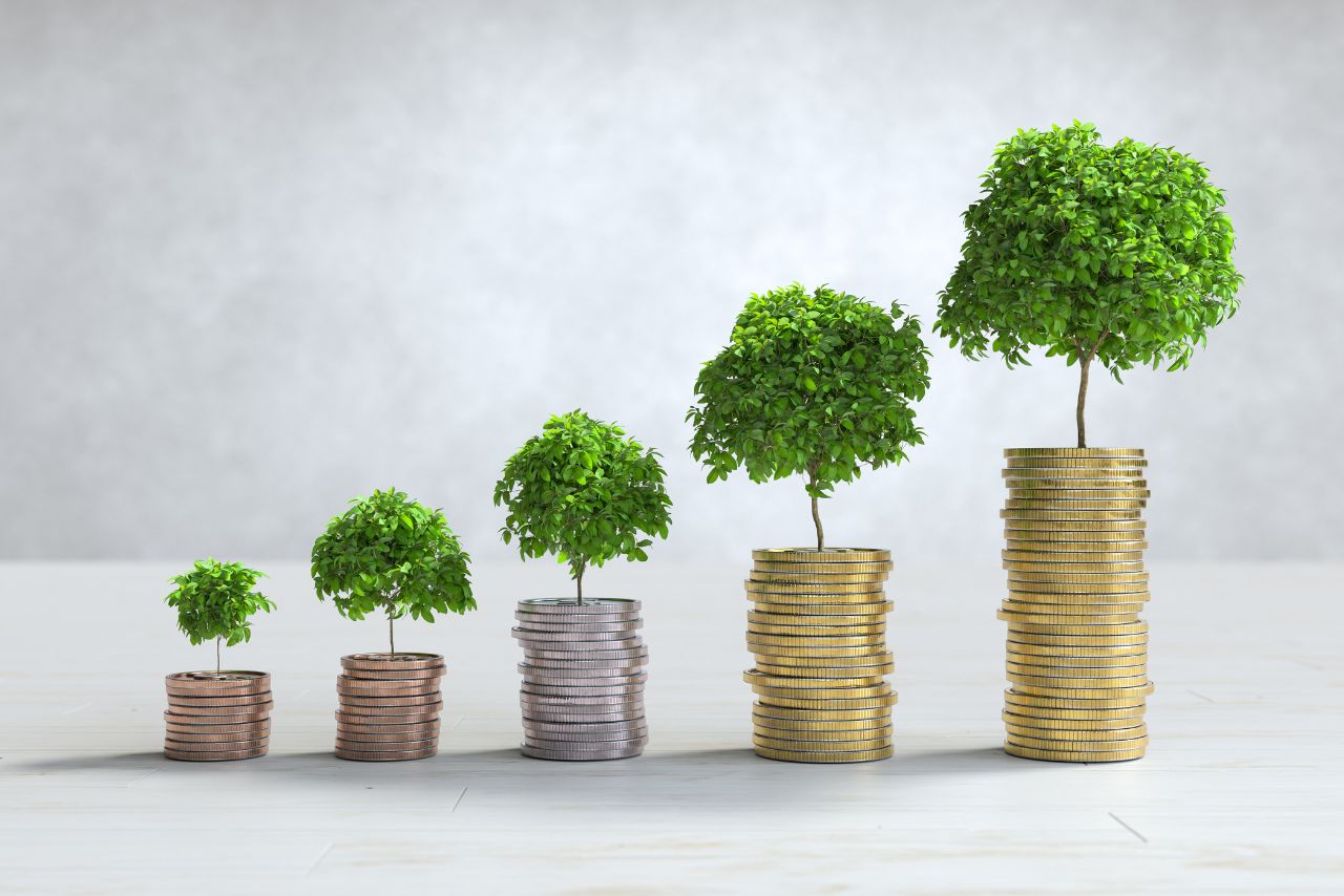 White Oak Impact Fund: A Comprehensive Guide to Sustainable Investing