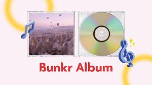 Understanding and Using Bunkr Album: A Comprehensive Guide