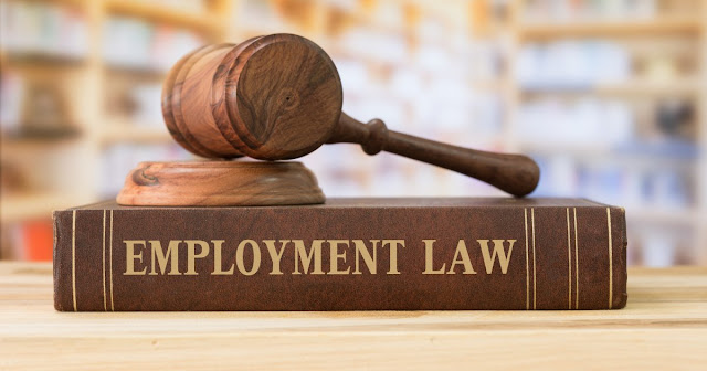 How Can an Employment Lawyer Protect Your Rights?